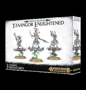 Warhammer AoS - Tzaangor Enlightened (English; NM)